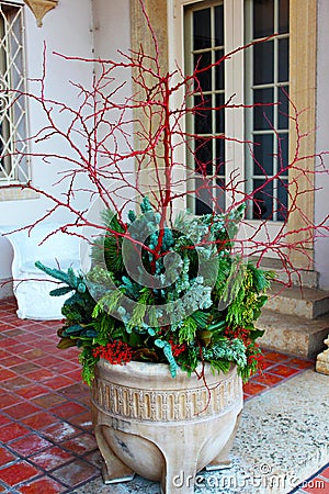 Clay pot of Christmas greenery on a terrace with red berries and red branches - Christmas decor Stock Photo