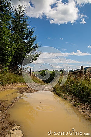 Clay road in the mountains after rain. Carpathian landscape Stock Photo