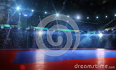 Clean grand combat arena in bright lights Stock Photo