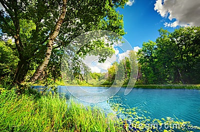 Clean lake in green spring summer forest Stock Photo