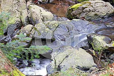 Clean mountain stream Stock Photo