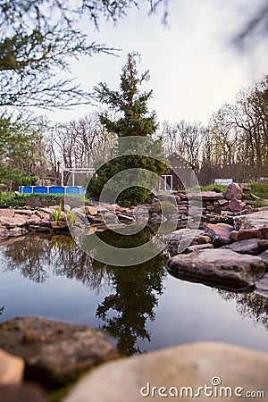 Clean pond in the garden of a country house. Stones and spruce on the lake. Quiet evening. The water reflects the sky Stock Photo