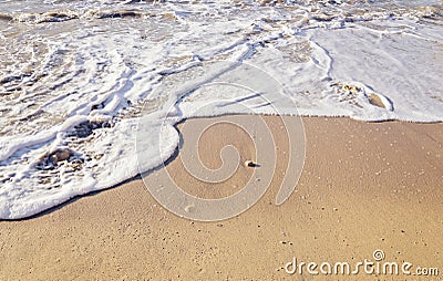 Clean sea sand on the beach with an incoming foamy wave Stock Photo