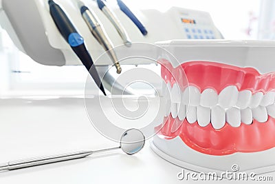 Clean teeth dental jaw model, mirror and dentistry instruments in dentist's office. Stock Photo