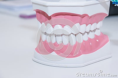 Clean teeth denture, dental cut of the tooth, tooth model, and dentistry instruments in dentist`s office. Tooth care Stock Photo