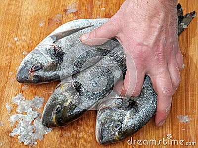 Cleaned raw sea bream on wooden board, fish descaled. Fishmonger picking up the fish with his hand Stock Photo