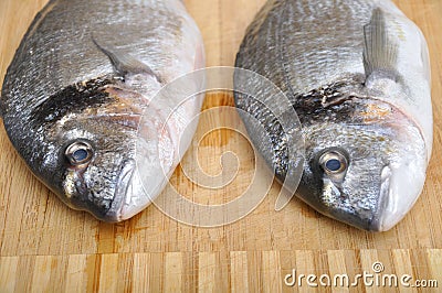 Cleaned and ready to cook fresh fish dorado, cipura cupra fish Stock Photo