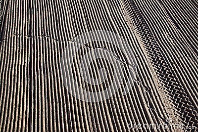 Cleaned by a tractor sand on the Mediterranean beach Stock Photo