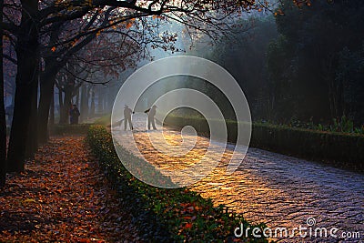 Cleaners in the early morning Stock Photo