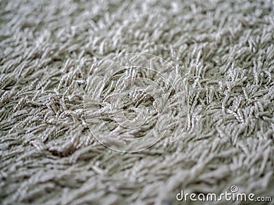 Cleaning carpet Stock Photo