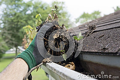 Cleaning Gutters During The Summer Stock Photo