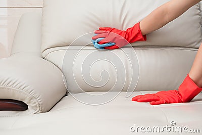 Cleaning leather sofa Stock Photo