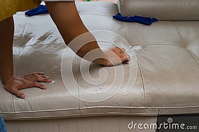 cleaning leather sofa Stock Photo