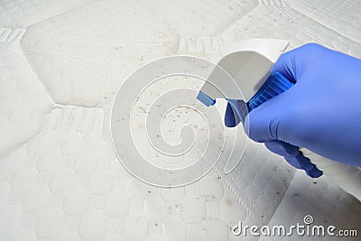 Cleaning a mattress fabric with a foam stain remover. Hand pulls a trigger. Stock Photo