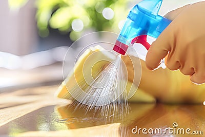 Cleaning with spray detergent, rubber gloves and dish cloth on work surface Stock Photo