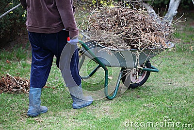Cleaning up garden using wheelbarrow Stock Photo