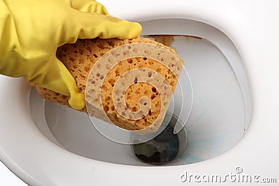 Cleaning water-closet. Stock Photo