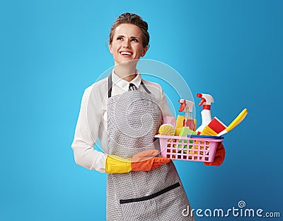 Cleaning woman with a basket with cleansers and brushes looking Stock Photo
