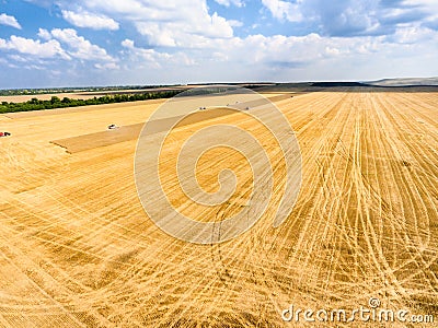 Clear agricultural field after cropping, yellow wheat lands with farming machinery, aerial view, Russia Stock Photo