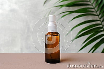 Clear amber glass spray bottle mockup with tropical green leaf. Natural organic cosmetic or herbal medicine product. Minimal style Stock Photo