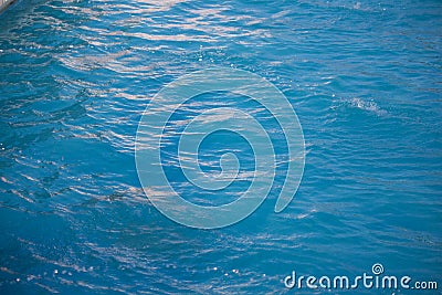 Clear blue transparent pool water background Stock Photo