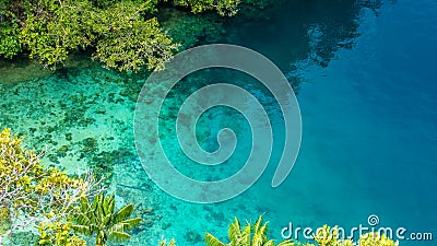 Clear Blue Water and Coral in Mangrove near Warikaf Homestay, Kabui Bay, Passage. Gam Island, West Papuan, Raja Ampat Stock Photo