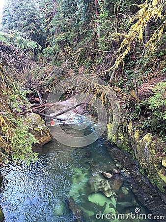 A stream creek with clear water in the forest Stock Photo