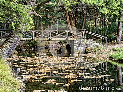 Clear Creek State Park in Pennsylvania in the fall with fallen leaves in the water and a bridge and the forest in the background Stock Photo