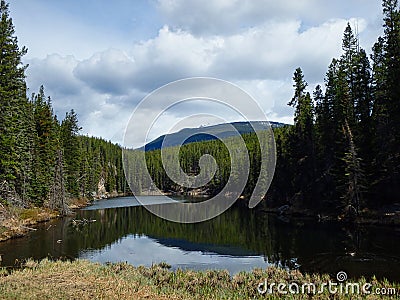a clear lake in the woods in summer Stock Photo