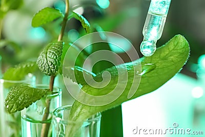 Clear liquid dropping from pipette on leaf against blurred background, closeup. Stock Photo