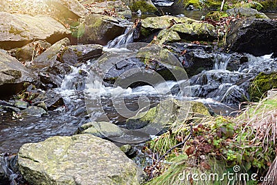 Clear mountain river Stock Photo