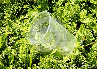 Clear plastic cup in weeds Stock Photo