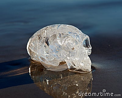 Clear Quartz Carved Elongated Mayan Alien Crystal Skull laying on wet sand at the sunrise Stock Photo