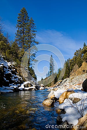 Clear river in the woods Stock Photo