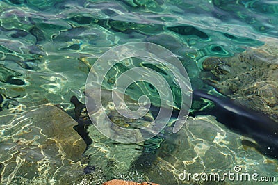 Clear sea water surface, stones and glare Stock Photo