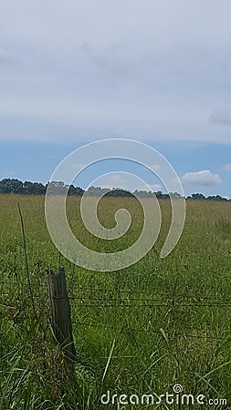 Country Fields Stock Photo