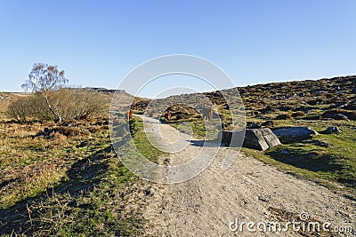 Clear spring morning on Burbage Edge in Derbyshire Stock Photo