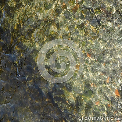 Clear sweet fresh water surface background Stock Photo