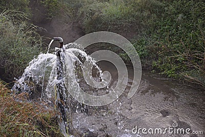 Clear sweet and health water overflowing from the water jet on rainy days Stock Photo