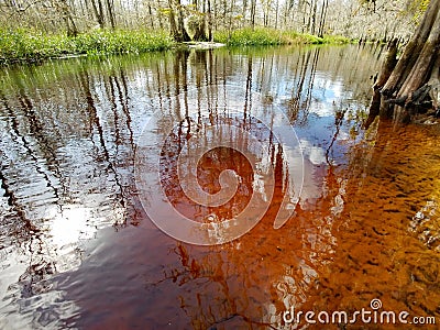 Tannin stained water of Fisheating Creek, Florida. Stock Photo