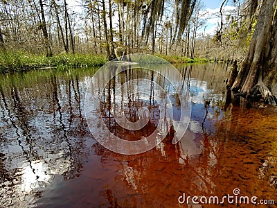 Tannin stained water of Fisheating Creek, Florida. Stock Photo