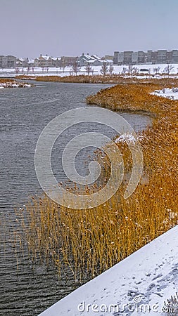 Clear Vertical Homes near a lake with snowy and grassy shore Stock Photo
