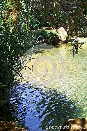 Clear water Stock Photo