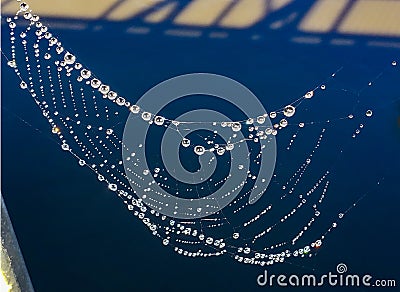 Clear Water Droplets strung together on a Spider web after a gentle rain Stock Photo