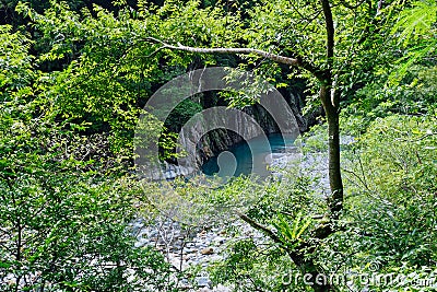 Clear water of a River and Forest Stock Photo