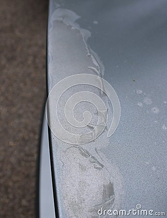 Clearcoat Peeling off of an Old Silver Car Stock Photo