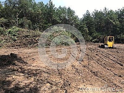 Forest Land clearing with bulldozer Stock Photo