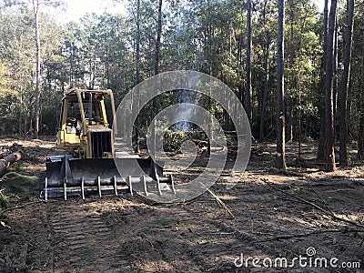 Clearing forest land with bulldozer Stock Photo