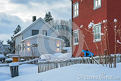 Clearing snow from the home front Editorial Stock Photo