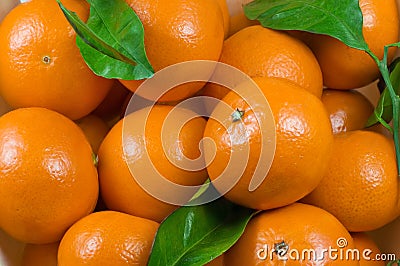 Clementines Stock Photo